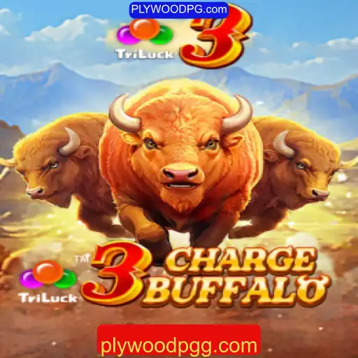 Descubra o emocionante mundo de 3ChargeBuffalo